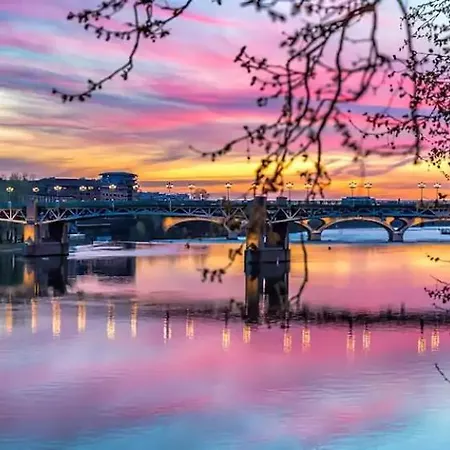 Luxueux Et Fleuri A Toulouse, Capitole