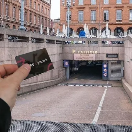 Luxueux Et Fleuri à Toulouse, Capitole