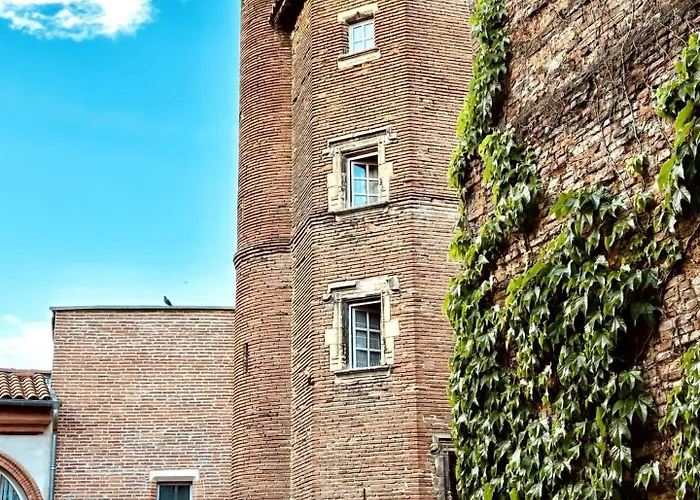 Luxueux Et Fleuri à Toulouse, Capitole * Toulouse
