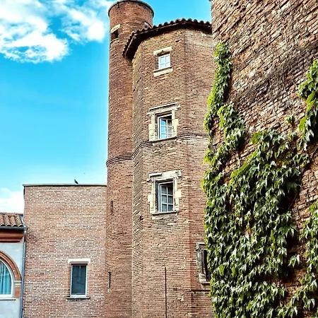 Luxueux Et Fleuri A Toulouse, Capitole * 圖盧茲