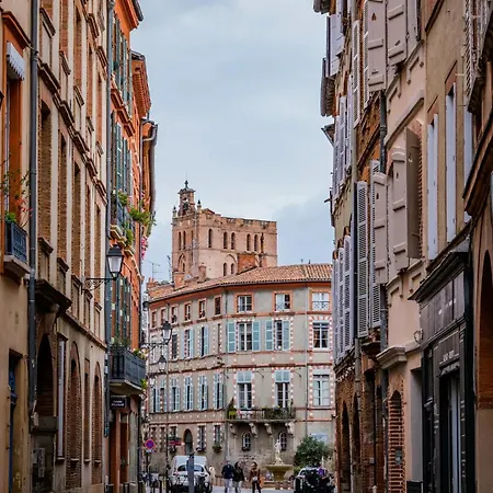 Luxueux Et Fleuri A Toulouse, Capitole شقة *