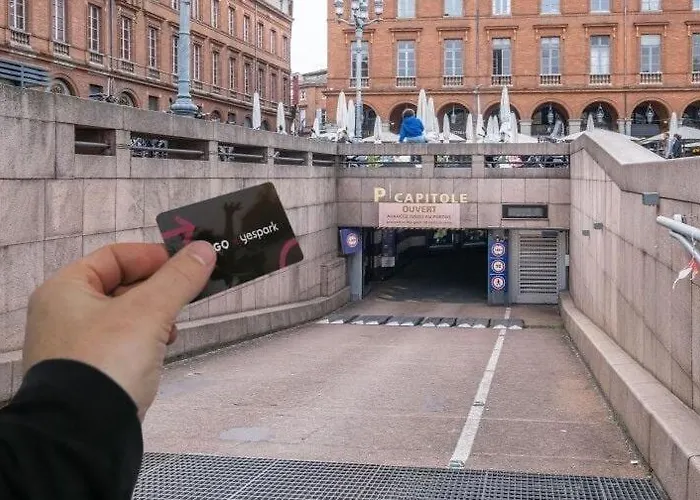 Luxueux Et Fleuri A Toulouse, Capitole